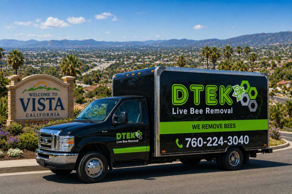 Bee Removal Vista, CA bee removal vista ca