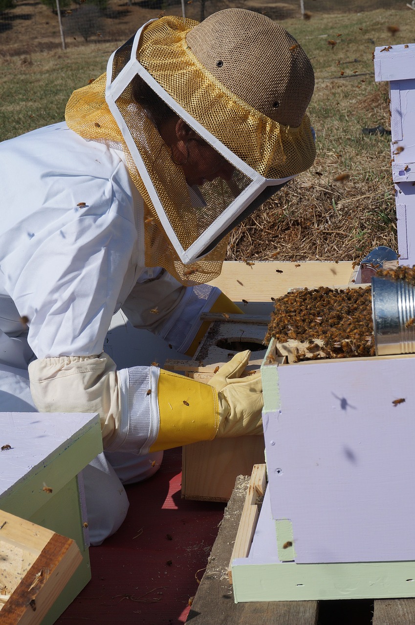 beekeeper san diego