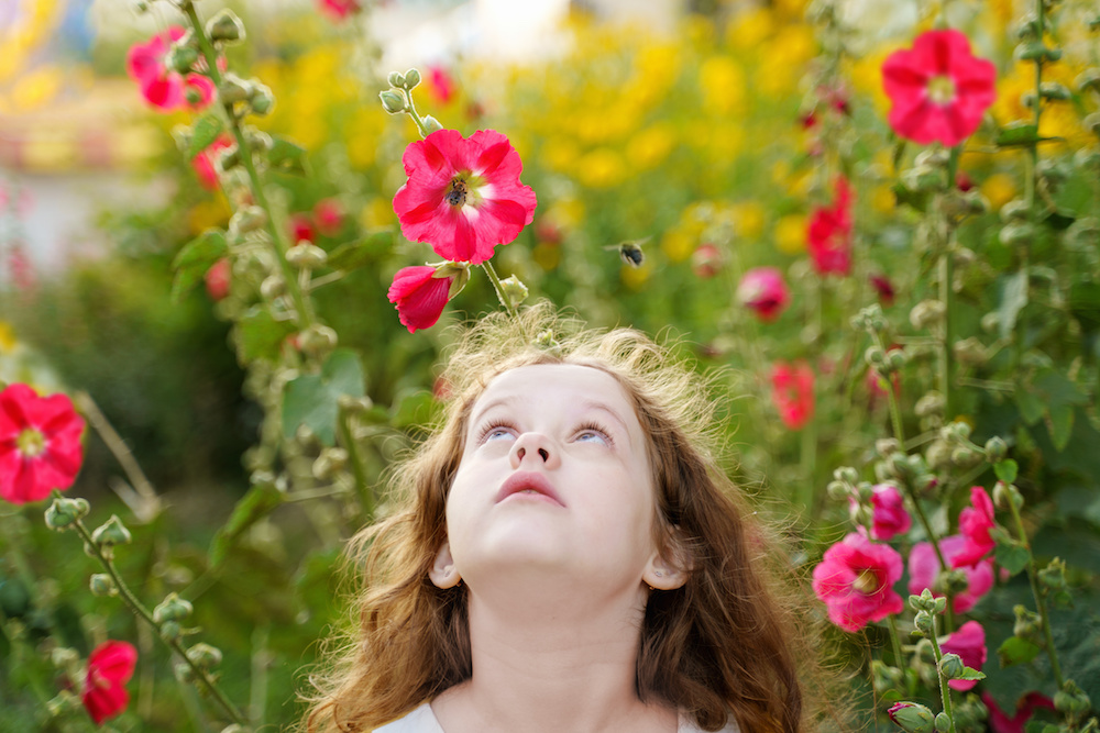 The summer means spending time outdoors for many families. Picnics, barbeques and baseball games are some of the highlights of the season. While there is a lot of fun to be had for kids, there are also some increased risks of getting an injury. Perhaps one of the most common types of injuries that children experience in the summer is bee stings. Bee and wasp stings aren’t fun for people of any age. But for children, a sting can be extra unpleasant. Kids can be shocked at how painful a sting from a little bee can actually be! Parents need to be extra vigilant if their child is allergic to bee stings because of the danger of very serious health issues. When Your Child Gets Stung by a Bee Children won’t always know how serious a bee sting can be, especially if they’ve never been stung before. Adults should help children to understand how to be safe around bees and what to do if they happen to get stung. Educating children before an incident occurs is the best way to keep them safe and happy this summer. Here are some common questions kids may have about bee stings as well as tips for how to best handle them when they happen. How do I know if I have a bee sting? There are a few tell-tale signs that you have been the victim of a bee or wasp sting. Usually the area stung will get hot and develop a red bump. It may also begin to itch. If you notice any of these symptoms, you should take it seriously. An allergic reaction to a bee sting can have dangerous consequences. How will I know if I’m allergic to bees? Typical allergic reactions to bee stings include: Hives Nausea Difficulty breathing Dizziness Do all bees sting? Male bees do not have stingers so they cannot sting you. If you’ve been stung by a honey bee, then you have been stung by a female bee. Their stingers have unique barbed hooks that anchor the stinger in the skin after a sting. The stinger will get stuck in the skin as the bee flies away. Because of this, honey bees can only sting you once! Other bees and wasps may be able to sting more than once because their stingers do not have this barbed feature. What should I do if I get a bee sting? The first thing a child should do if they have been stung by a bee is tell an adult. For a child that is not having an allergic reaction, the sting can be taken care of at home. If you think a reaction is occurring or if the swelling increases, contact the doctor or seek medical attention right away. EpiPens are a common emergency treatment for those who are allergic to bee stings. Honey bees will leave their stingers in the skin. The first thing to do is to carefully remove the stinger and wash the area with gentle soap and water. Reduce pain and swelling by applying ice directly to the sting. Administer a pain reliever or antihistamine if the pain or swelling is severe. Apply a baking soda and water mixture to the sting to reduce itchiness. How can I avoid bee stings? For the most part, bees don’t mean us any harm. They just want to go about their day buzzing from flower to flower. Bees will usually leave you alone unless they are disturbed. The best thing to do is leave bees and wasps alone. If you have a large swarm or hive on your property, you should contact a professional live be removal company to safely remove the bees from the premises. Never attempt to remove the bees on your own – that’s the easiest way to get stung! Avoid sweet smelling lotions or perfumes. Don’t wear bright or floral clothing. Cover food and soda cans. Wear shoes in grassy areas. San Diego Live Bee Removal – D-Tek Live Bee Removal No one wants to get stung by a bee or wasp. If you notice that you have a hive on your property, make the call to D-Tek Live Bee Removal right away. Bee hives can cause property damage to your home and the potential for nasty bee stings. And when you have children and pets to protect, you need to ensure that the bees are handled by professionals. For all of your live bee removal, bee removal repair or bee proofing needs in San Diego and San Diego county, contact the team at D-Tek Live Bee Removal for your free quote today.