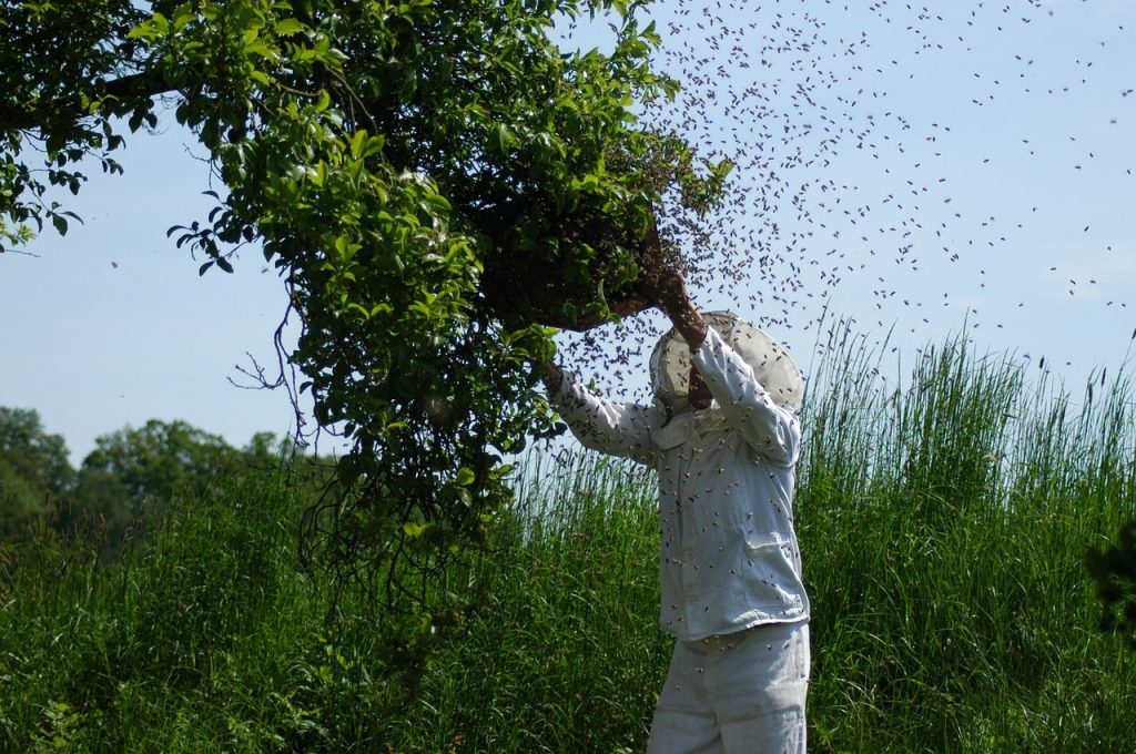 beekeeping suit