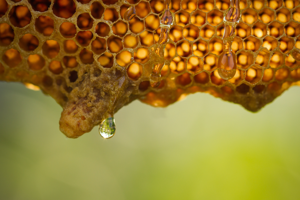 beehive cells