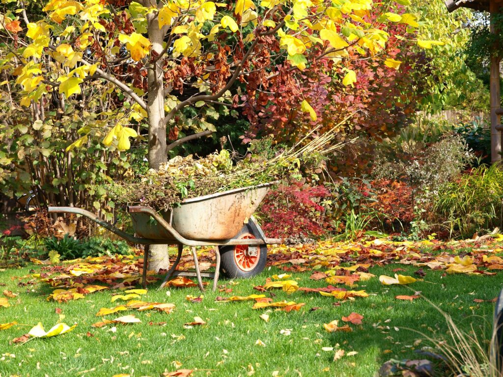 bees autumn gardening