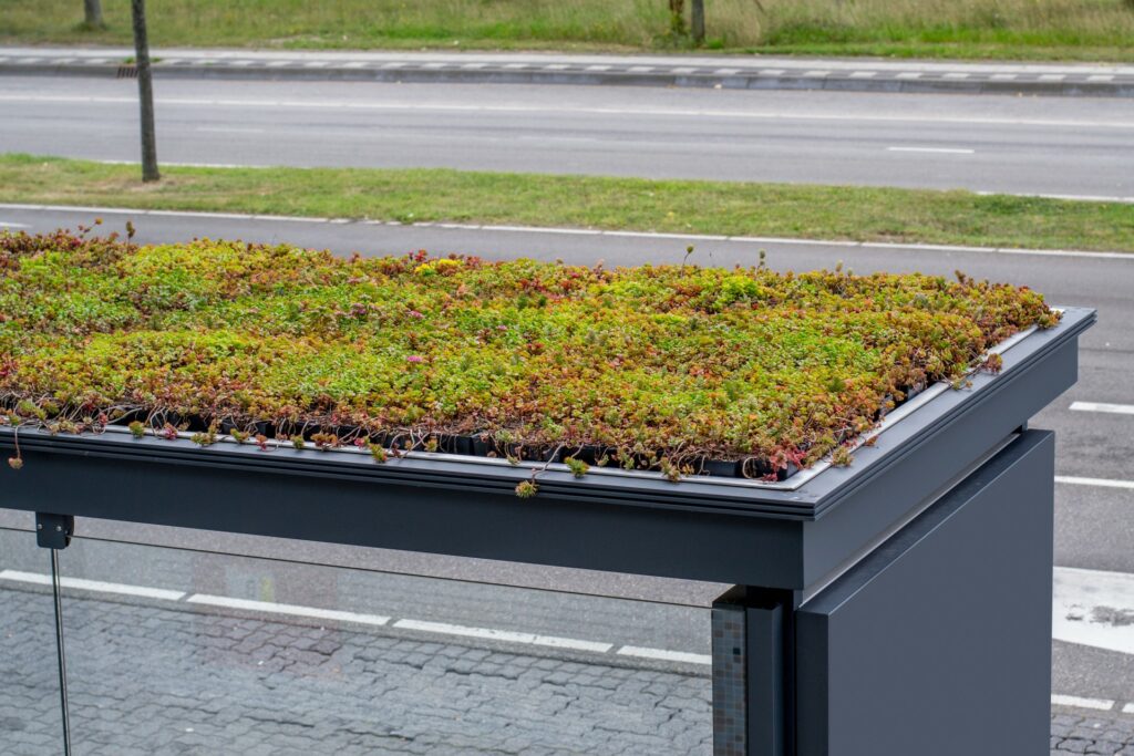 bus stop roof garden