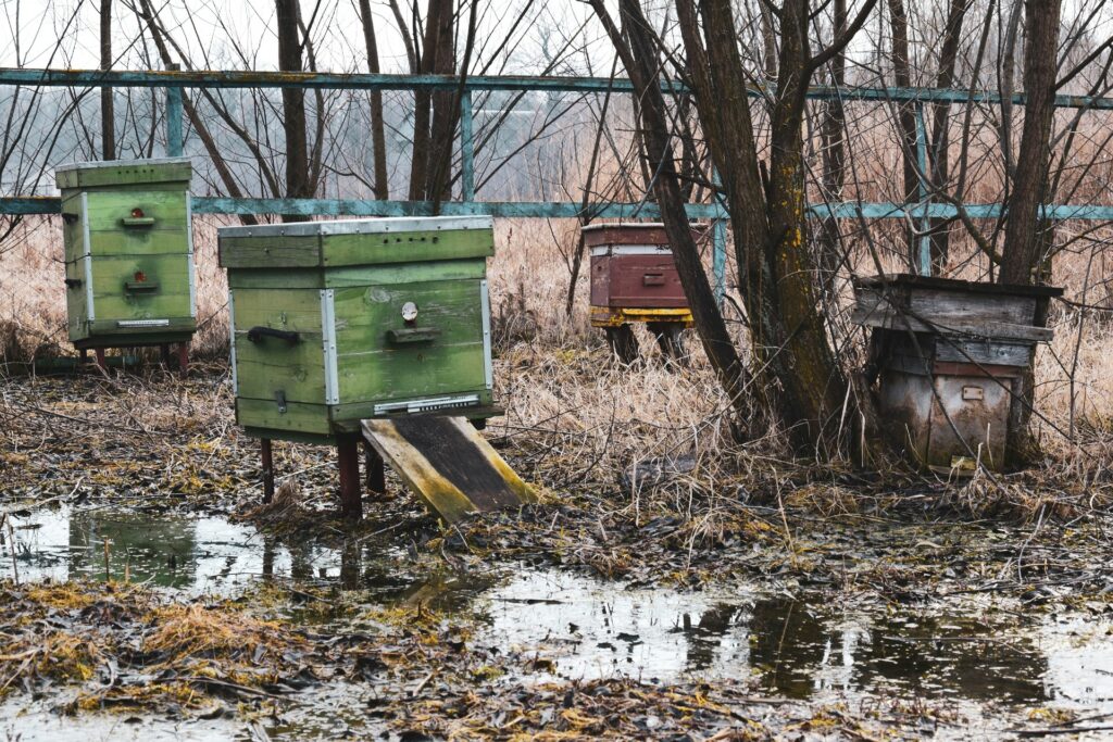 Flooded Beehives