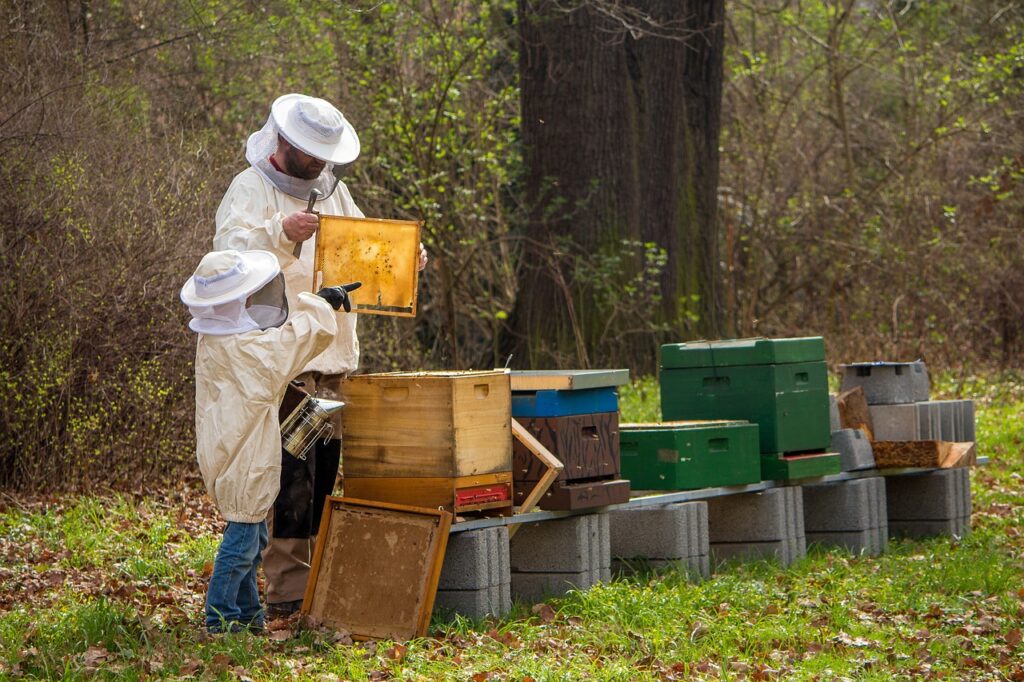 beekeepers in san diego