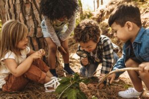 children in nature caring for bees and environment