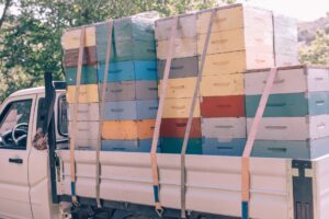 transport moving honeybees beekeepers