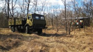 military veterans beekeeping and removing bees safely