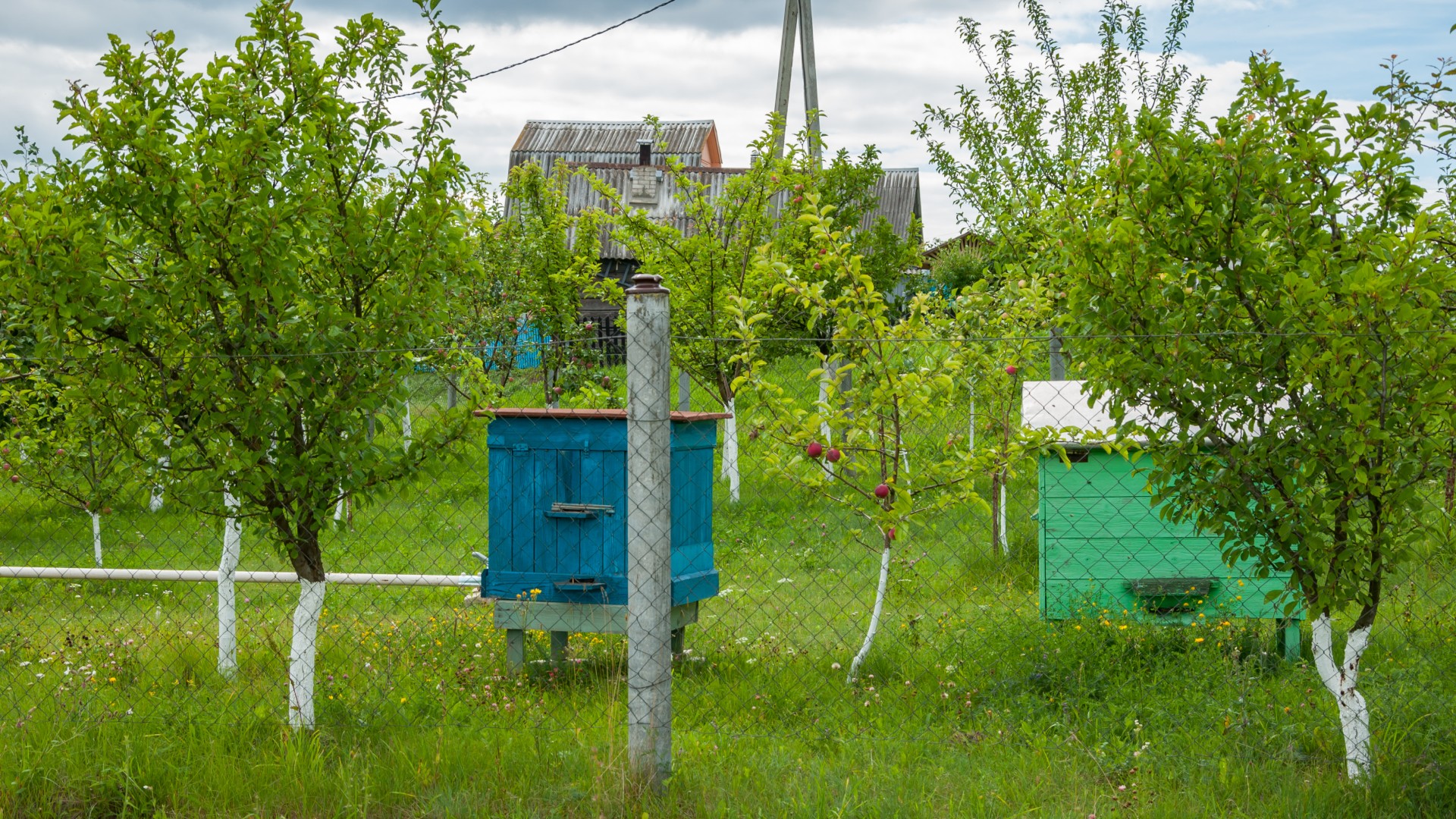 beekeepers beekeeping beehives honey