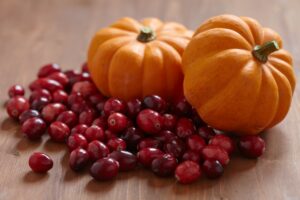 bees pollinate pumpkin and cranberries thanksgiving