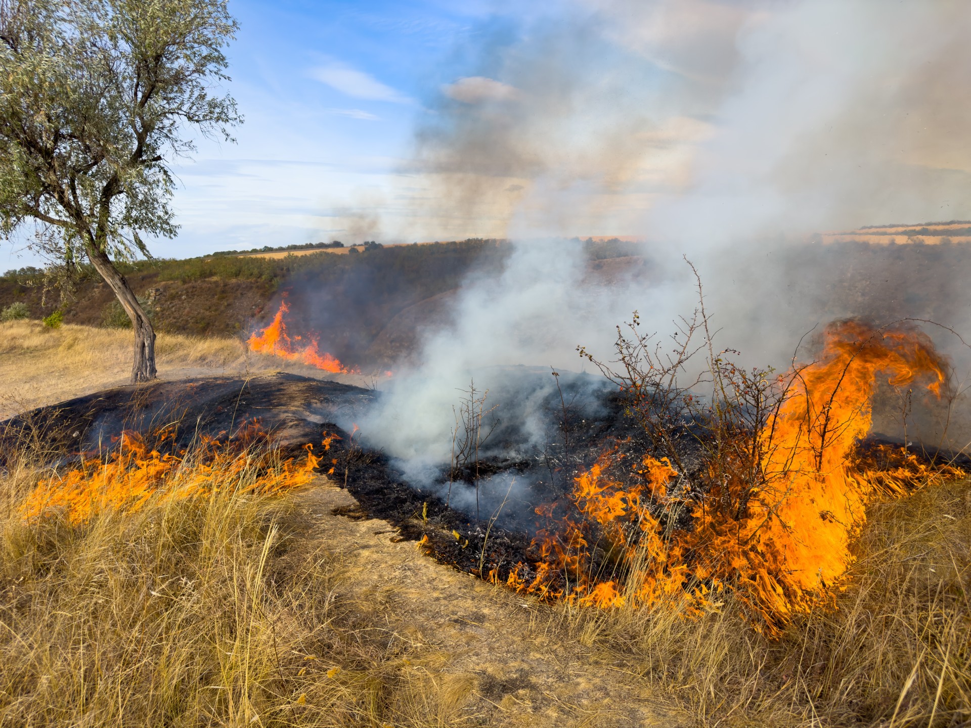 fires impact beekeeping near me