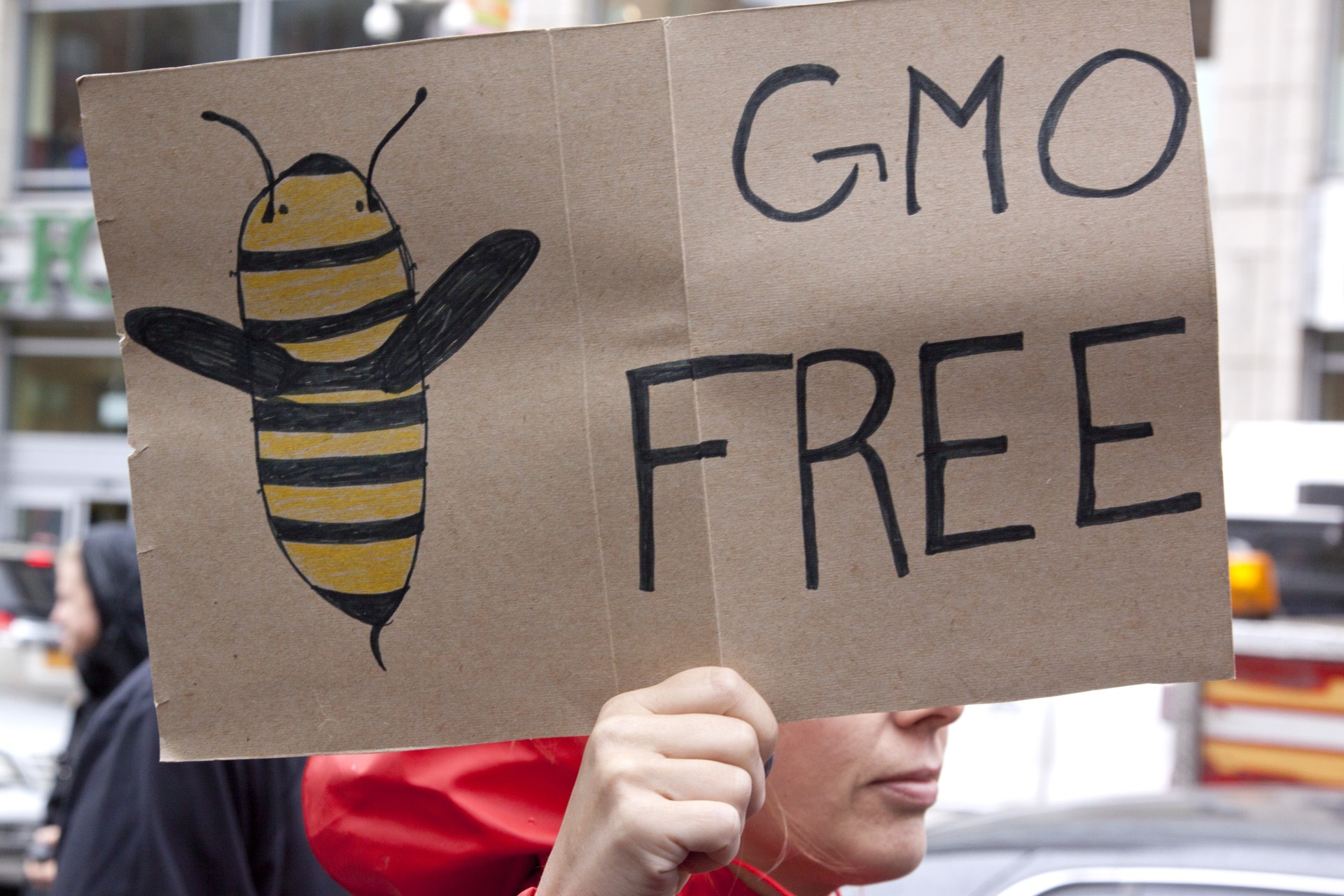 save the bees near me