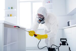 non toxic pest control for bees near me