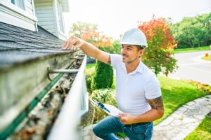 bee proofing and inspections near me