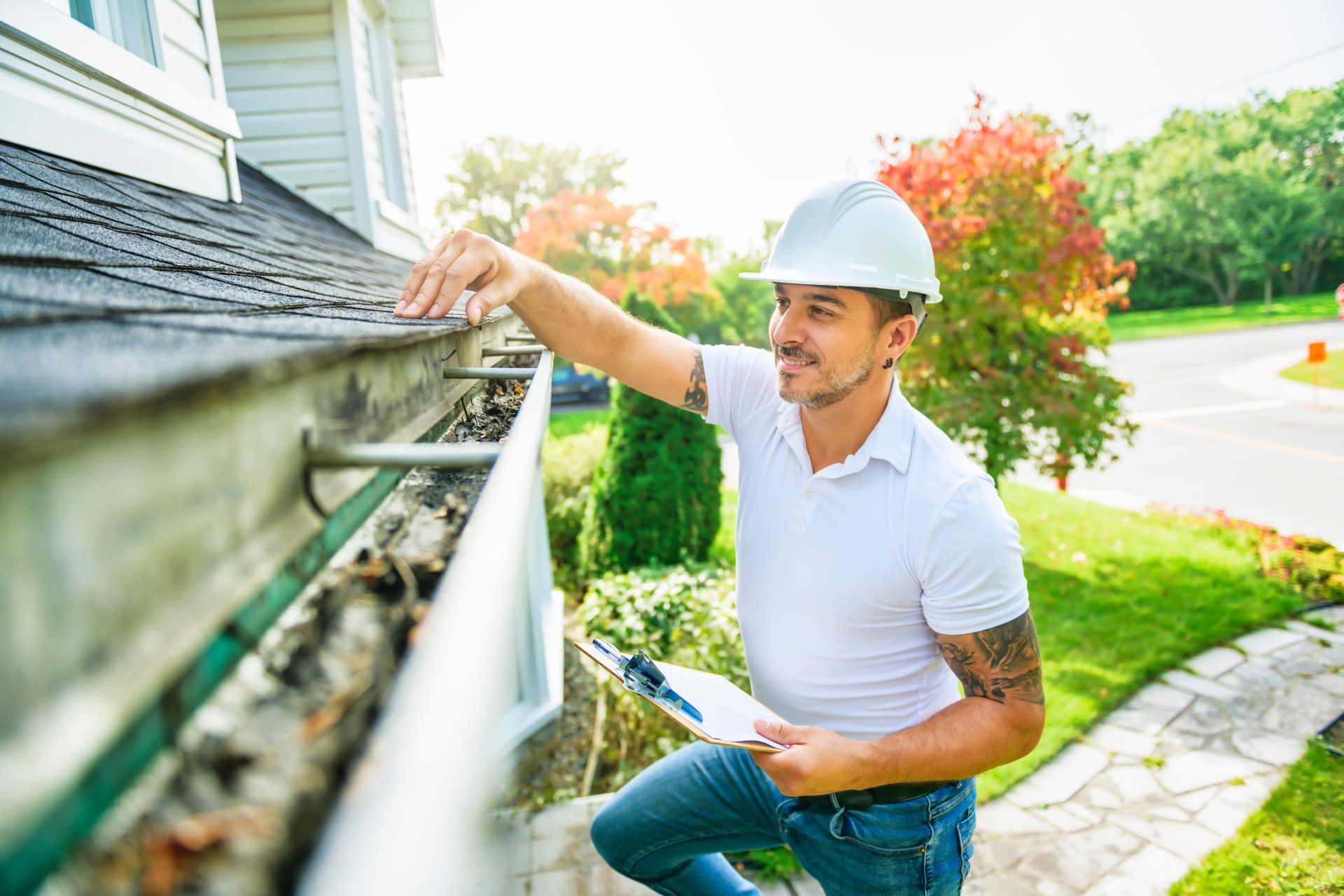 bee proofing and inspections near me