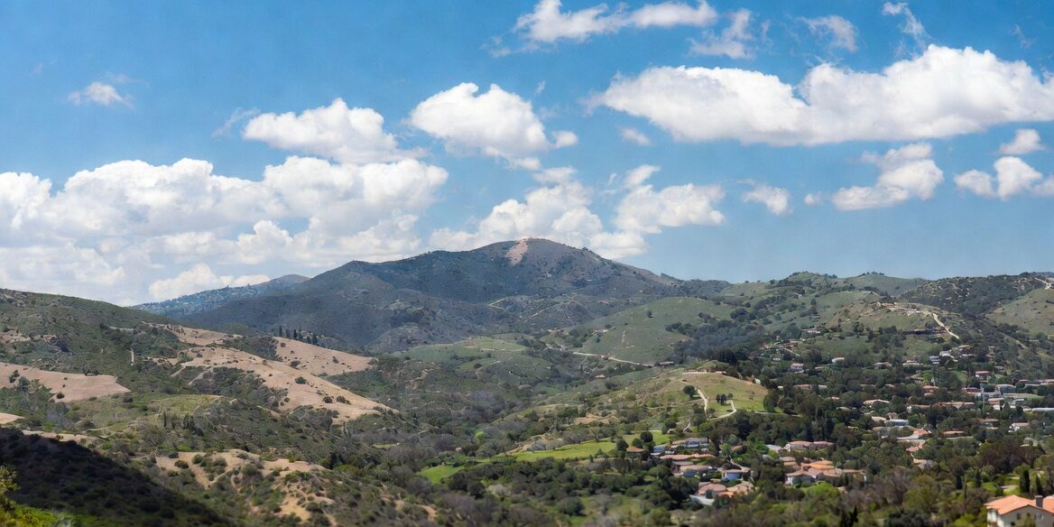 bee removal rancho penasquitos